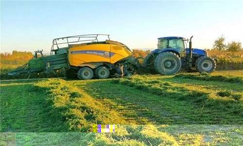 Warshadaha beeraha farsamaynta biraha gaarka loo leeyahay