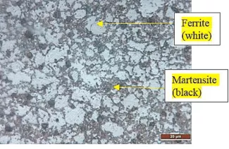 Overview Duplex Stainless Steel and 316