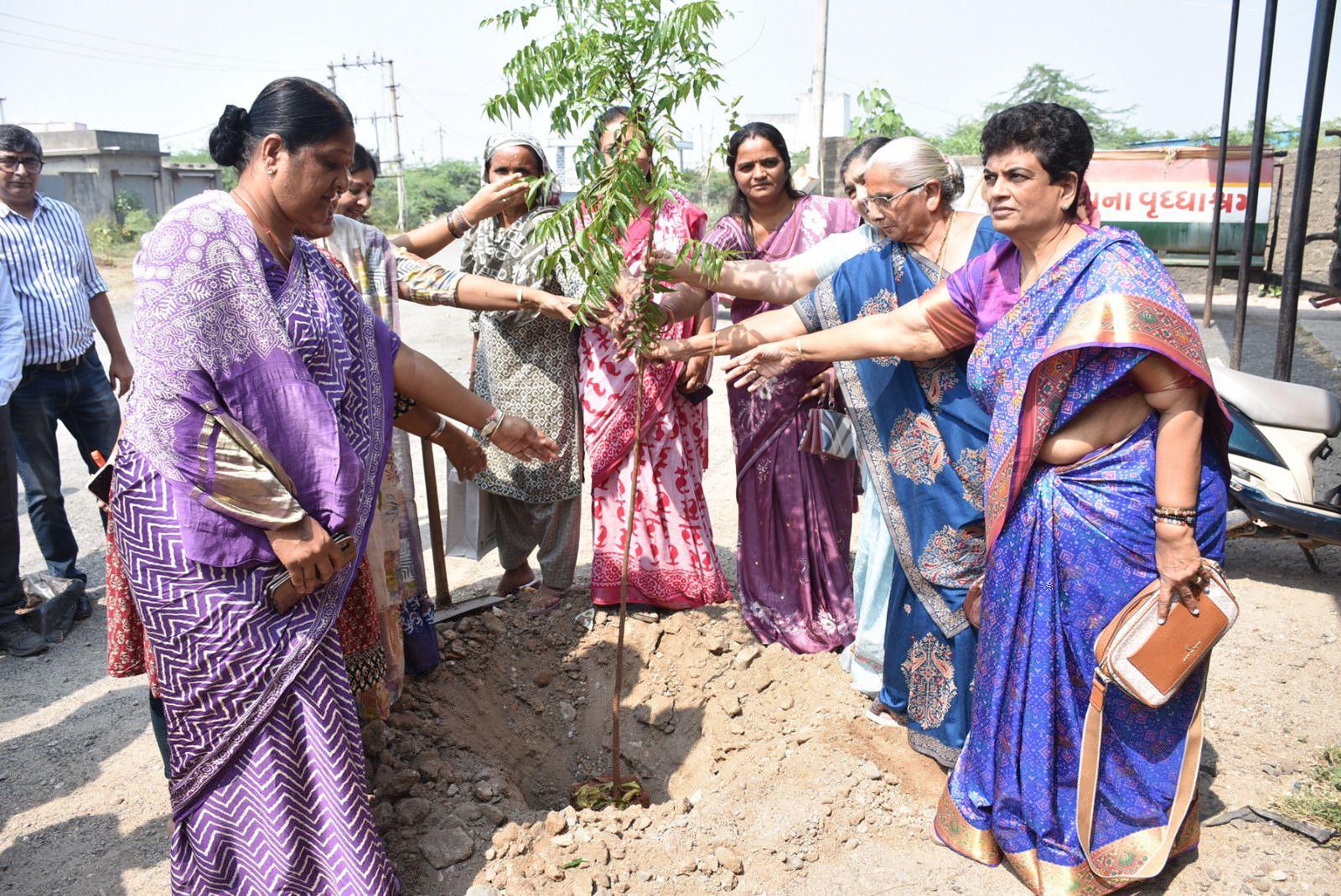 GreatLight richt zich op het leveren van oplossingen zoals CNC-bewerking in grote volumes, 5-assige CNC, CNC-frezen, metaalspuitgieten, vacuümgieten en rapid prototyping-diensten.