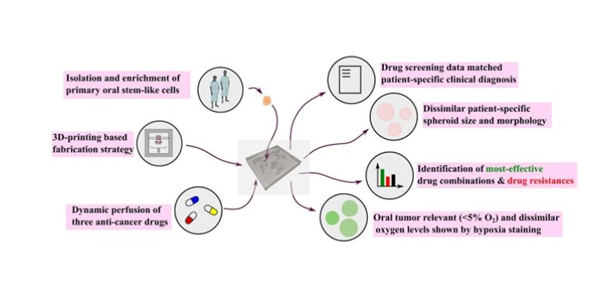 1729548569 327 3D printed microfluidic device for testing oral cancer drugs