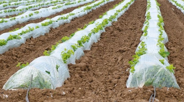 1729615969 270 3D printing and agriculture a new perspective in agriculture