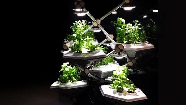 1729615969 558 3D printing and agriculture a new perspective in agriculture