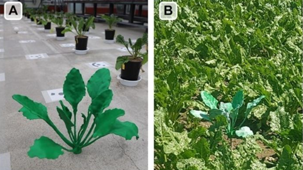 1729615970 470 3D printing and agriculture a new perspective in agriculture