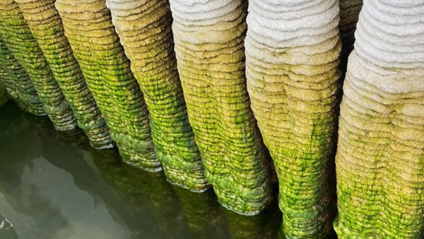 1729643950 283 The role of 3D printing in protecting the oceans
