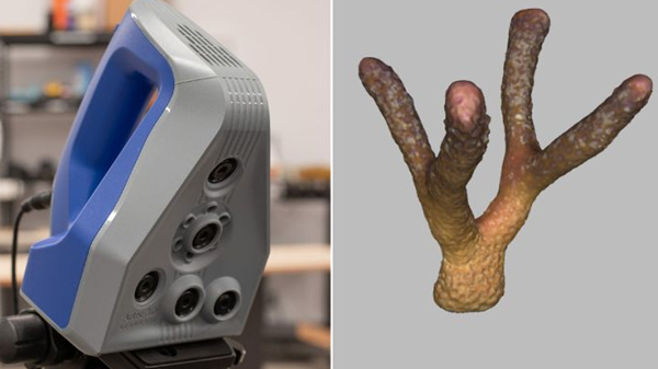1729643950 349 The role of 3D printing in protecting the oceans