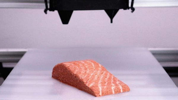 1729643952 663 The role of 3D printing in protecting the oceans