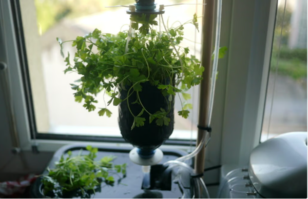 1731477672 949 5 Stunning 3D Printed Hydroponic Projects for 2023