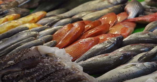 1731481365 265 3D printed plant based squid rings could be on the menu