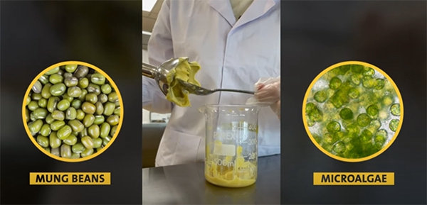 1731481365 697 3D printed plant based squid rings could be on the menu