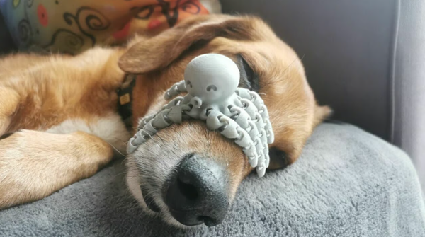 1731489282 477 15 Best Articulated 3D Printing Models of 2023