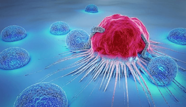 3d bioprinting could make cancer treatments more effective