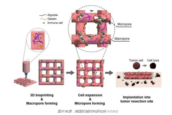 1731555446 657 3D bioprinting could make cancer treatments more effective