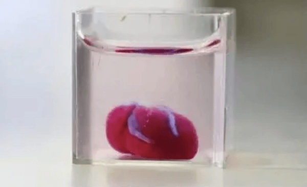 3d printed organs become a reality