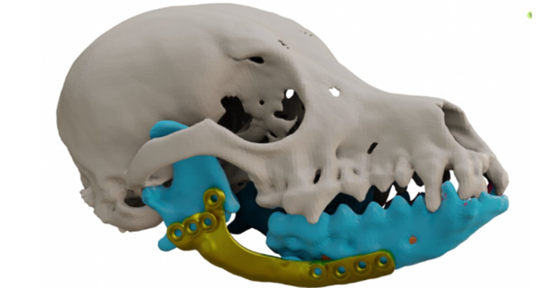 1731808198 503 3D printing and motion tracking technology create new treatment options