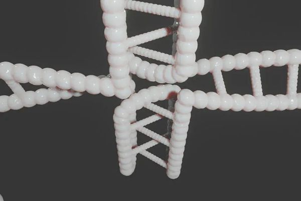 1731823920 985 3D Printing Of Peek Composite Materials And Their Research Advances 1731823920 985 3D printing of PEEK composite materials and their research advances