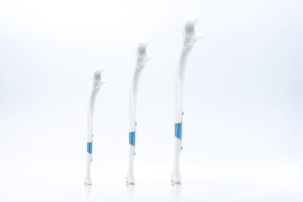 1732271222 432 Challenges and revolutionary medical applications of 3D printed ceramics