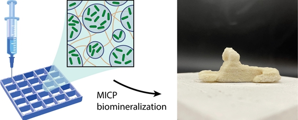 1732313346 649 3D printed bacteria to create bone like composites