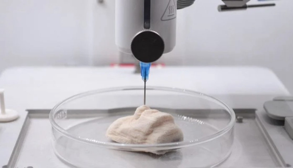 1732313346 836 3D printed bacteria to create bone like composites