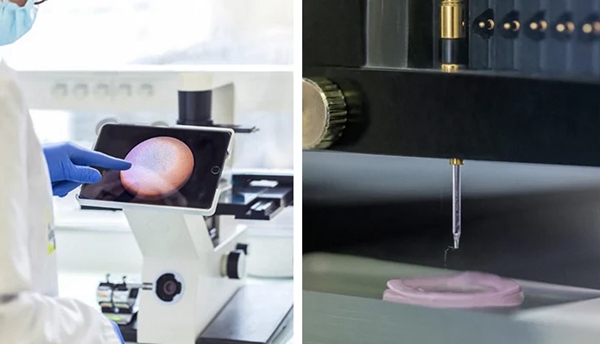 1732317115 650 Chanel partners with Labskin Creations to launch 3D bioprinted skin
