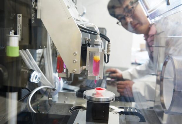 1732384292 135 When will 3D printed organs become a reality