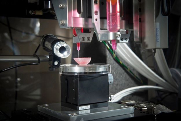 1732384293 630 When will 3D printed organs become a reality