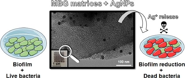 3d printed antibacterial scaffolds for bone tissue engineering