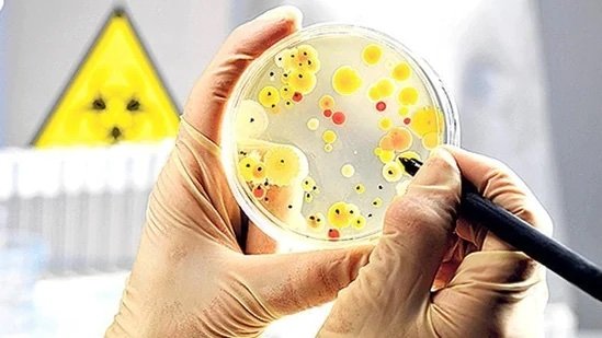 1732604312 437 Microorganisms combined with 3D printing technology could help humans establish