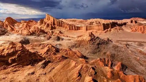 1732604314 136 Microorganisms combined with 3D printing technology could help humans establish