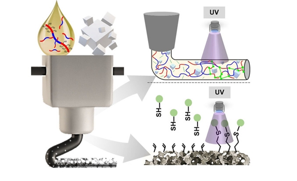 1733027544 234 Researchers use salt to 3D print degradable polymers