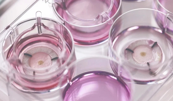 Chanel partners with Labskin Creations to launch 3D bioprinted skin