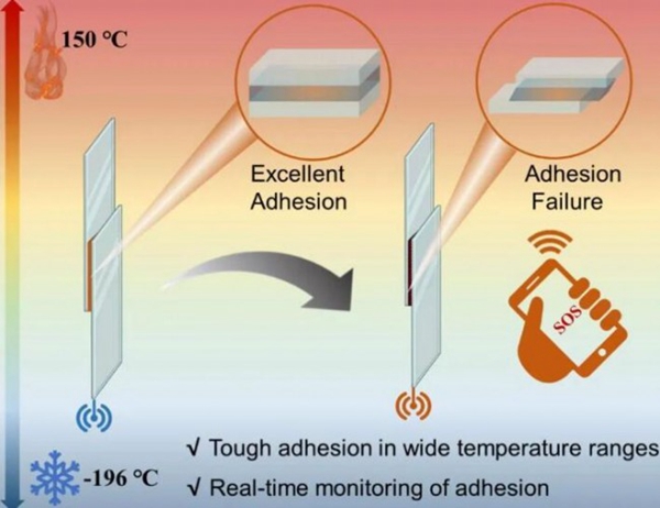 Chinese Academy of Agricultural Sciences develops polylipoic acid adhesive that