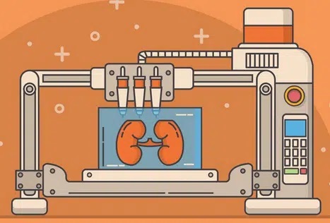 IVIVAs 3D Printed Artificial Kidney Wins KidneyX Award Creating a New