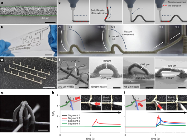 Kist Develops Conductive Elastic Ink That Enables 3D Printing Of KIST develops conductive elastic ink that enables 3D printing of