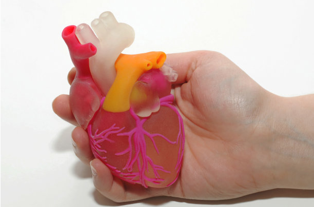 UTS researchers develop revolutionary therapy for heart failure by 3D
