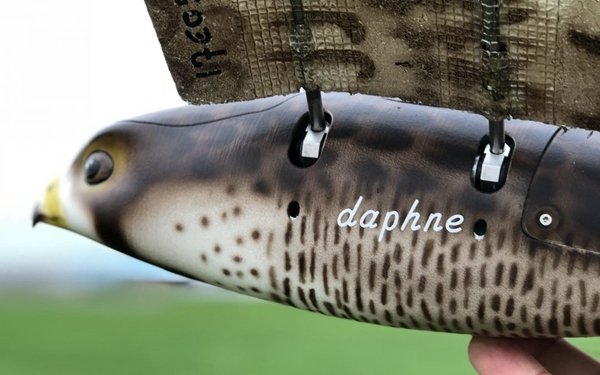 Ultra realistic 3D printed hawk shaped drone