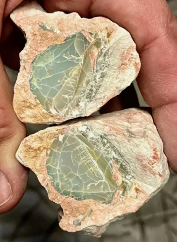 1733463407 52 3D printing for archaeology Studying Dinosaur Fossils in Albumen Fossils