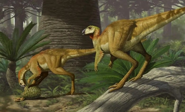 3d printing for archaeology! studying dinosaur fossils in albumen fossils