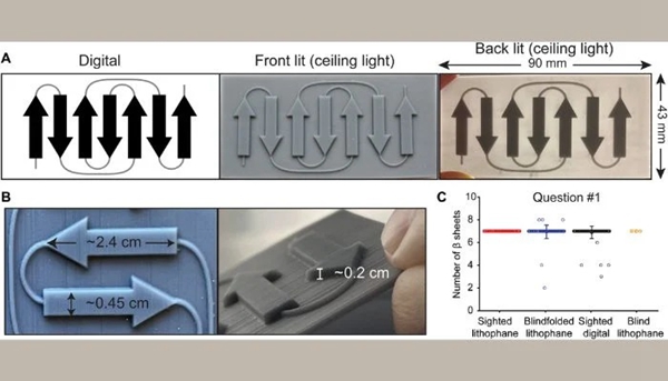 1733477979 94 3D printed lithographs help blind people quickly identify information and