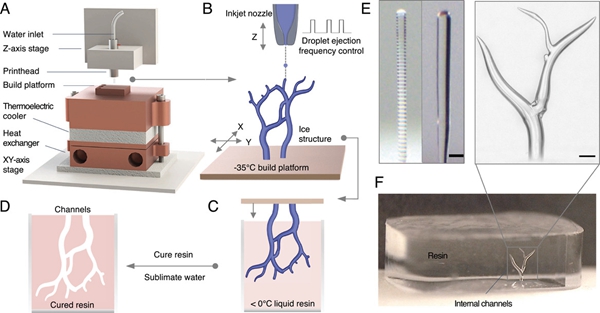 1733514764 109 New breakthrough 3D printed ice material