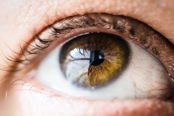 1733533155 763 breakthrough The first 3D printed cornea has been successfully tested