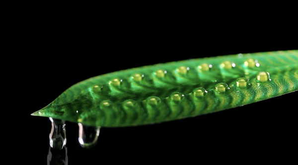 1733613984 712 New Zealand 4D printing expert uses Stratasys printer to create