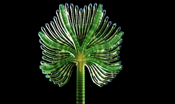 new zealand 4d printing expert uses stratasys printer to create