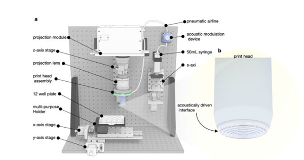 dynamic interface printing: new 3d bioprinting technology, faster and more