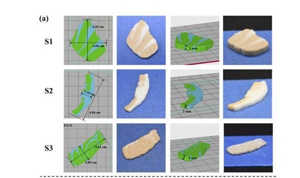 1733783589 695 3D printed fish fabric a success in the country