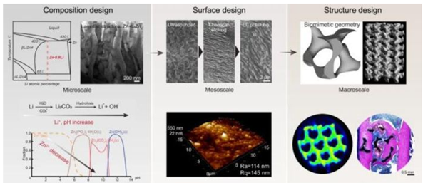 1733817509 713 3D printed zinc scaffold could solve bone defects problem
