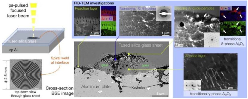 Image WeChat_20241122102643.png