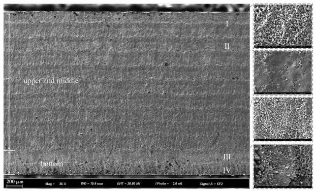 1732072713165972.Png Image WeChat_20241120111517.png