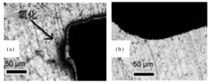 1732072695338923.Png Image WeChat_20241120111515.png