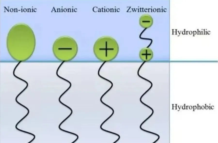 Image WeChat_20240812170543.png