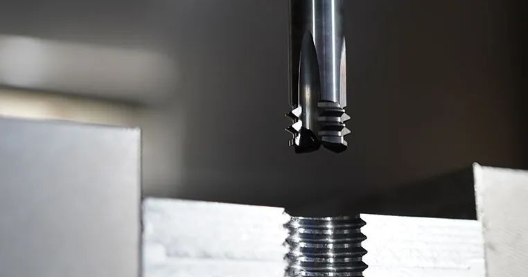 Photo WeChat_20240809144046.jpg